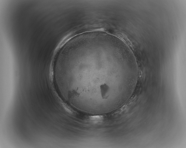 X0000112170053200908071207