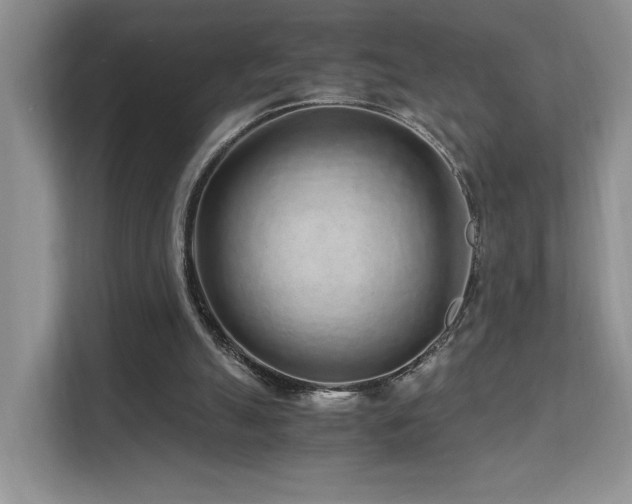 X0000112170055200908071207