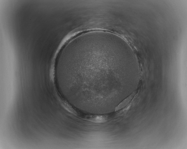 X0000112170056200908071207