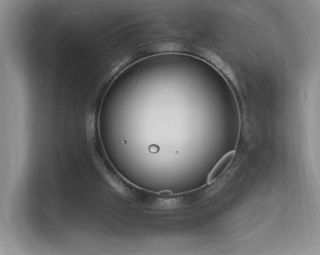 X0000112170057200908071207