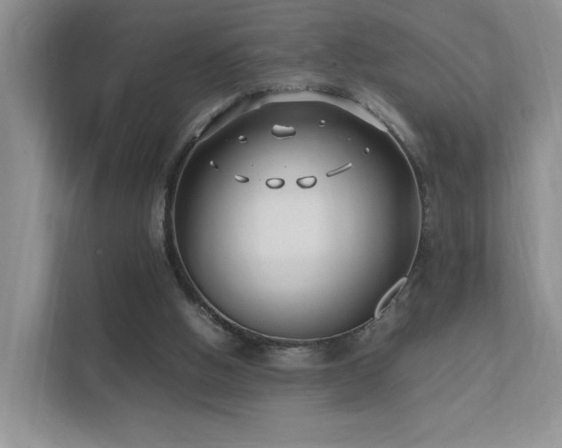 X0000112170058200908071207