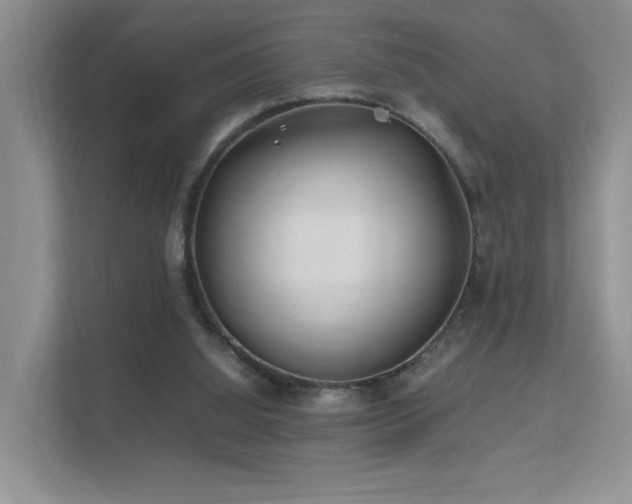 X0000112170060200908071207