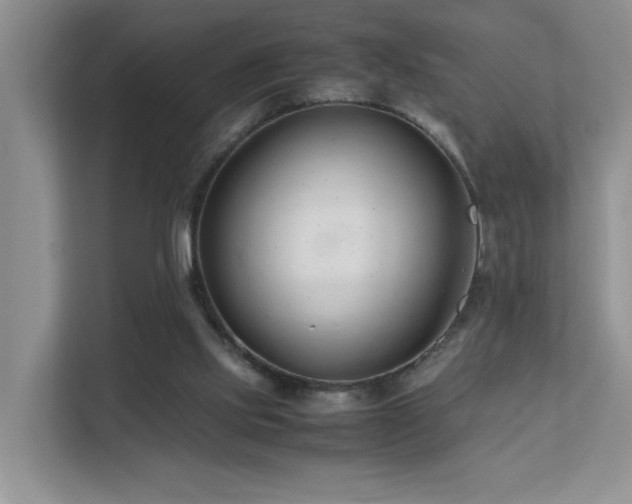 X0000112170061200908071207