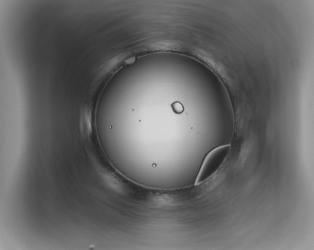 X0000112170062200908071207