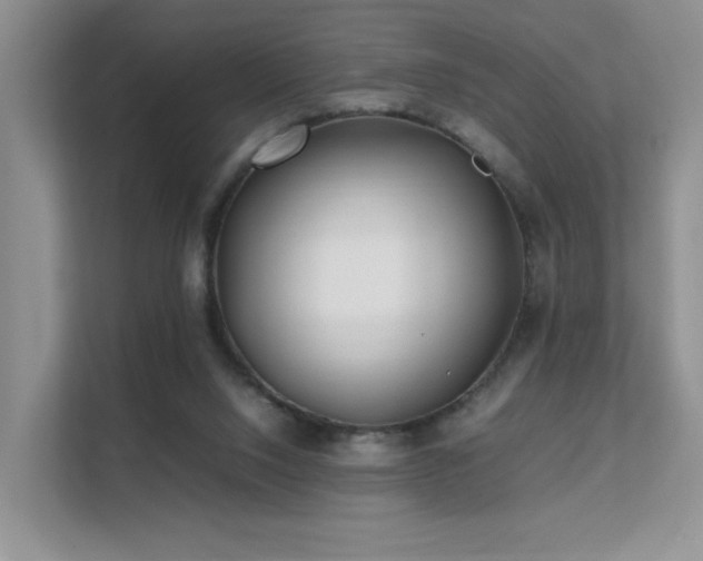 X0000112170064200908071207