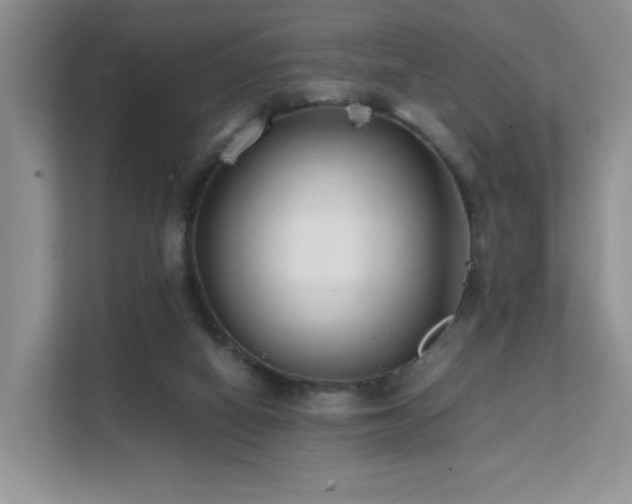 X0000112170066200908071207