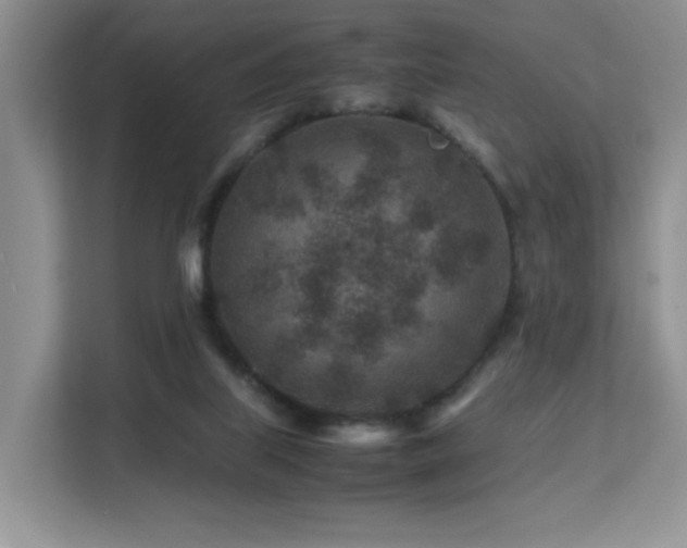 X0000112170067200908071207