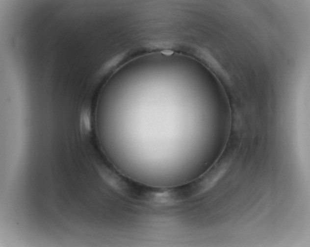 X0000112170068200908071207