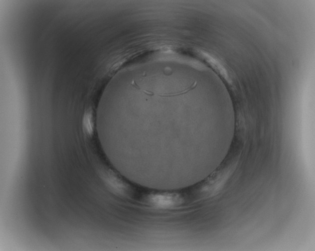 X0000112170069200908071207