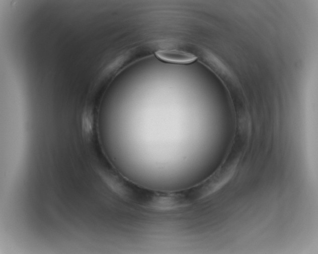 X0000112170072200908071207