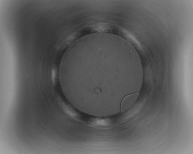 X0000112170073200908071207