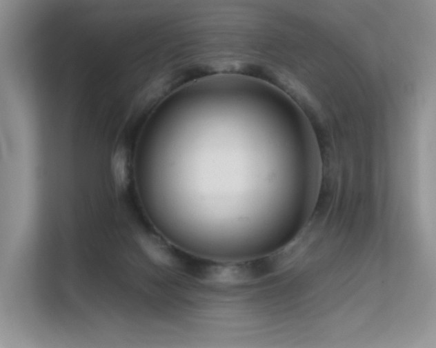 X0000112170074200908071207