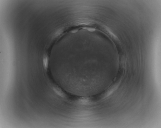 X0000112170076200908071207