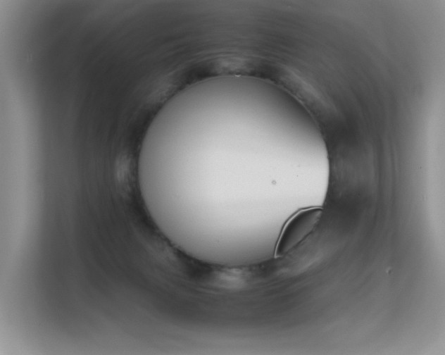 X0000112170079200908071207