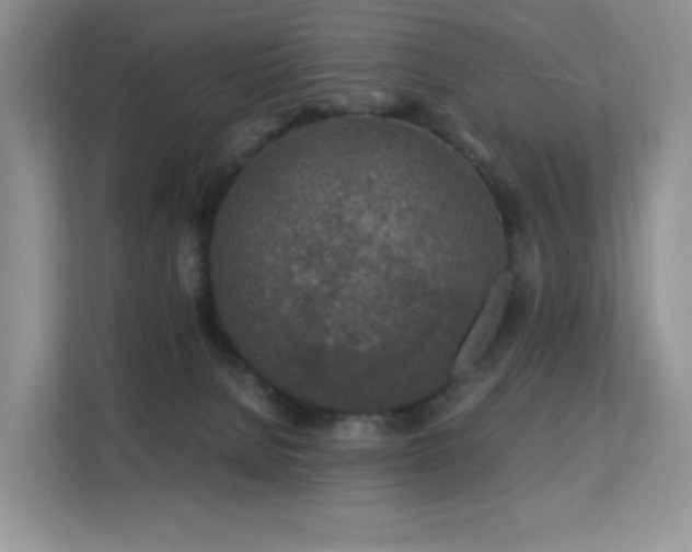 X0000112170080200908071207