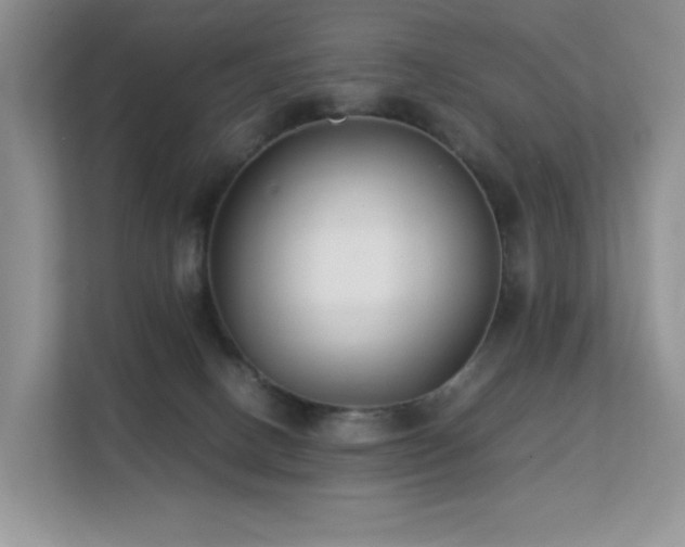 X0000112170082200908071207