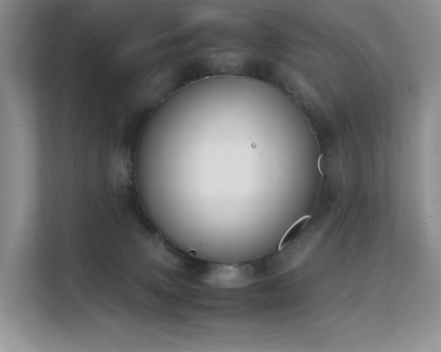 X0000112170083200908071207