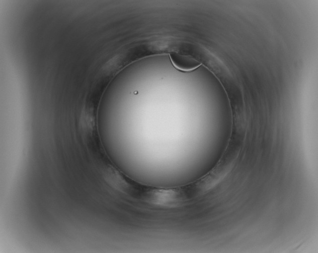 X0000112170085200908071207