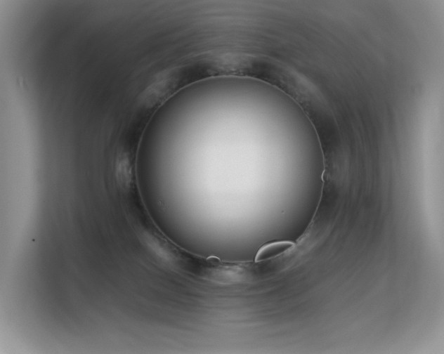 X0000112170086200908071207