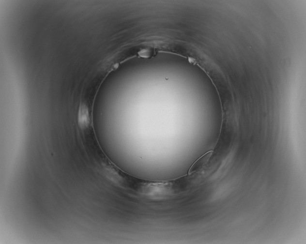 X0000112170089200908071207