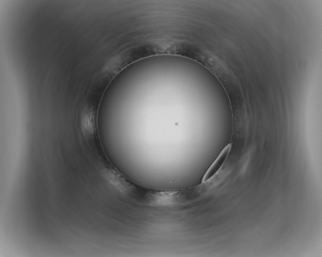 X0000112170090200908071207