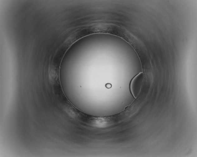 X0000112170091200908071207