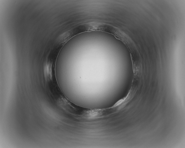 X0000112170094200908071207