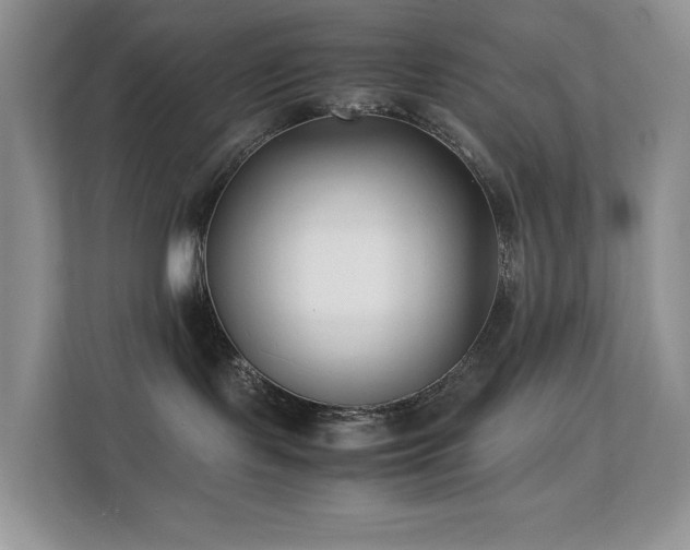 X0000112170095200908071207