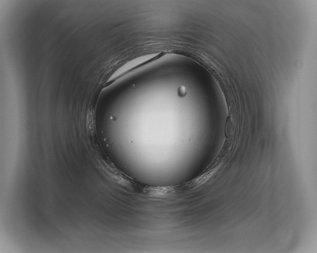 X0000112170096200908071207