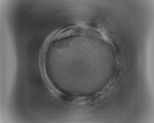 X0000112170097200908071207