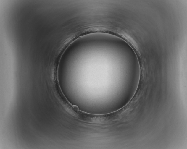 X0000112170105200908071206