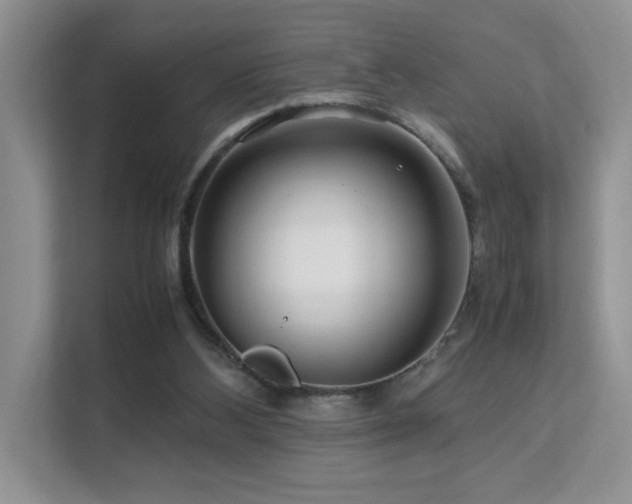 X0000112170108200908071206