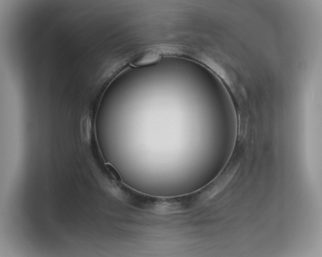 X0000112170109200908071206