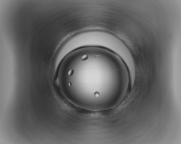 X0000112170112200908071206