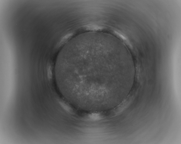 X0000112170114200908071206