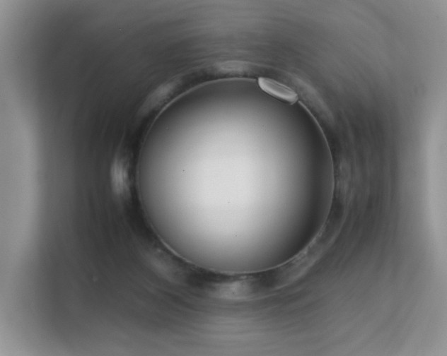 X0000112170116200908071206