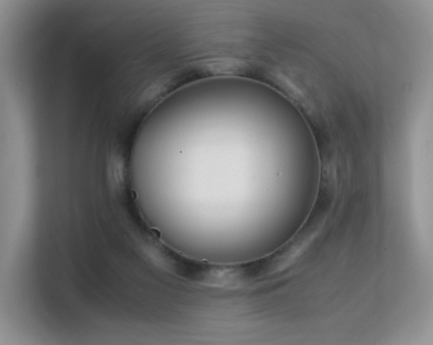 X0000112170117200908071206