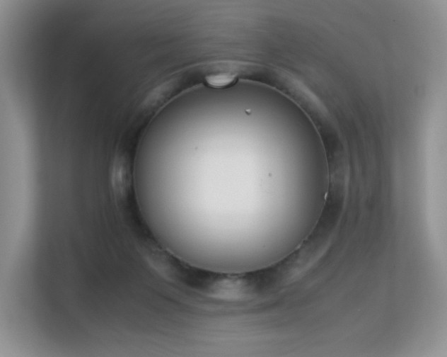 X0000112170119200908071206