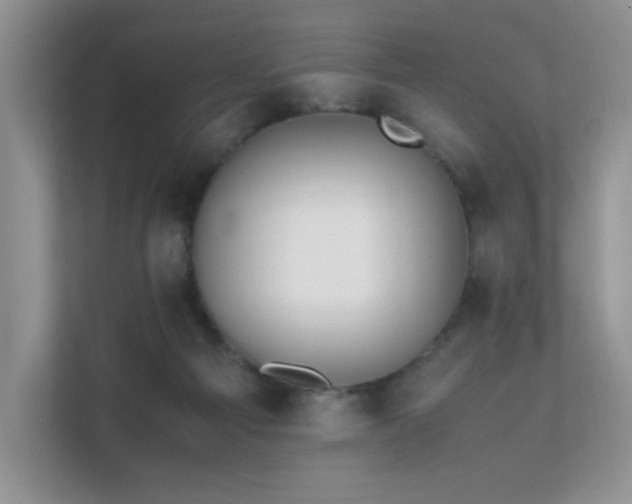 X0000112170121200908071206