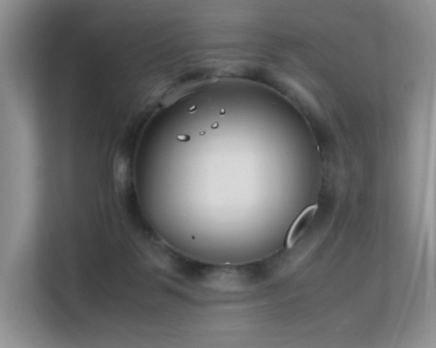 X0000112170123200908071206