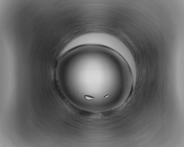 X0000112170124200908071206