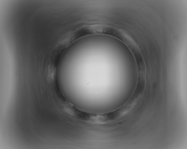 X0000112170125200908071206