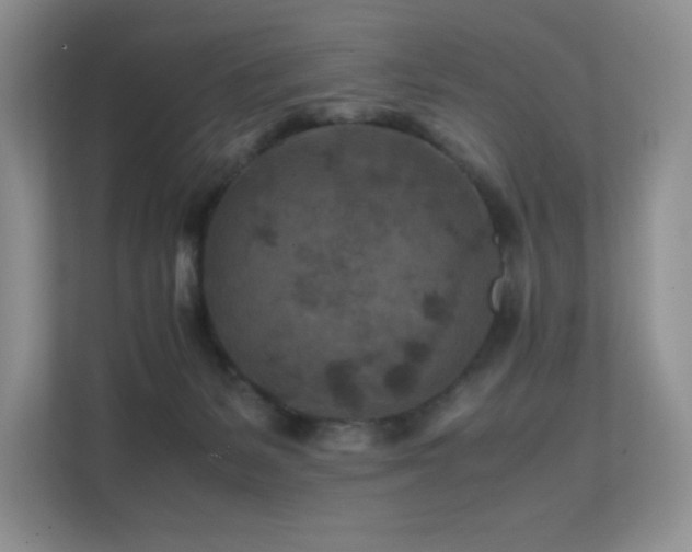 X0000112170127200908071206