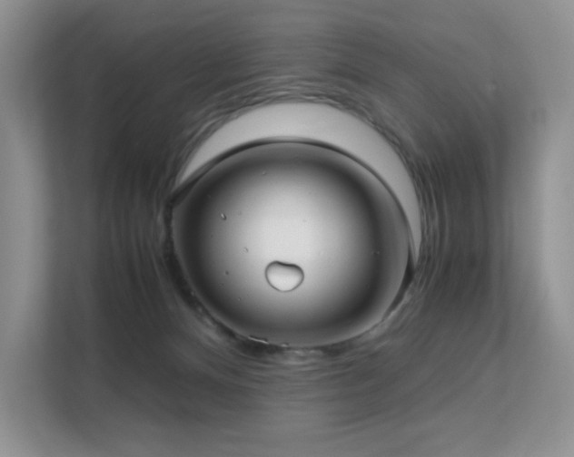 X0000112170128200908071206