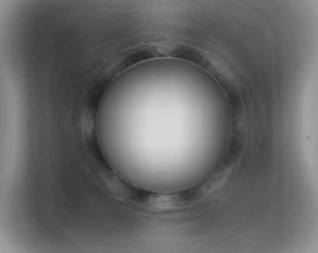 X0000112170129200908071206