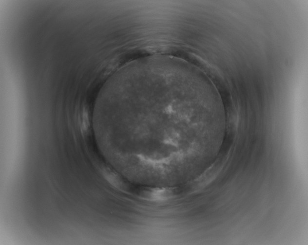 X0000112170130200908071206