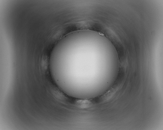 X0000112170133200908071206