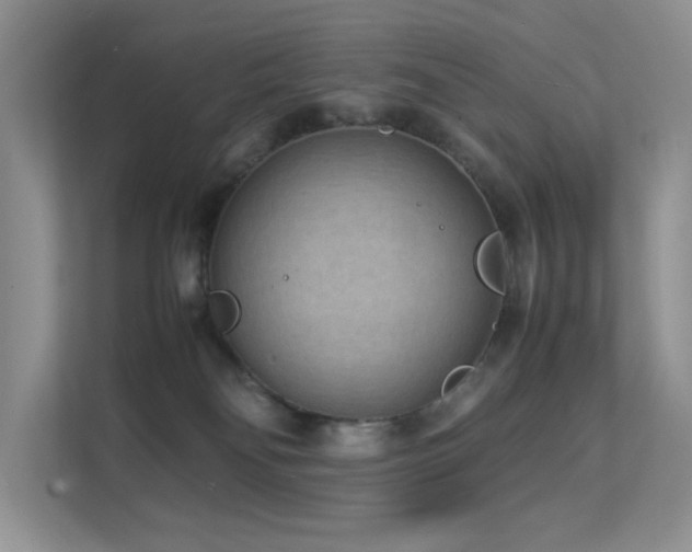 X0000112170134200908071206