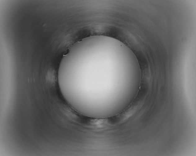 X0000112170135200908071206