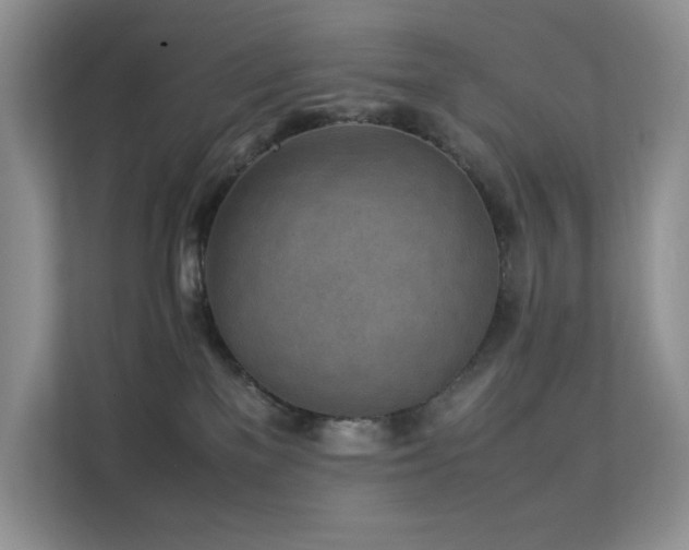 X0000112170137200908071206